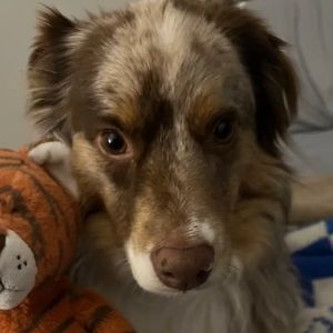 Meet your Posher, Kaden